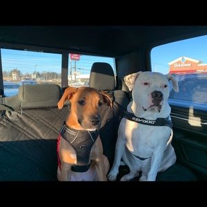 Meet your Posher, Deborah